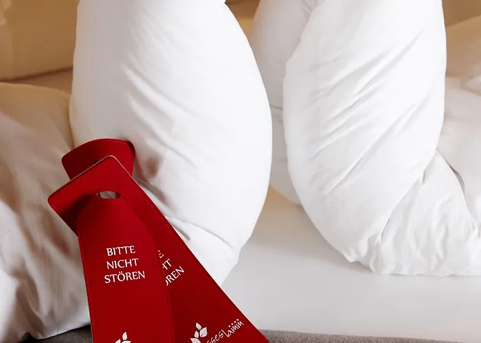 Weisses Lamm Hotel 4*