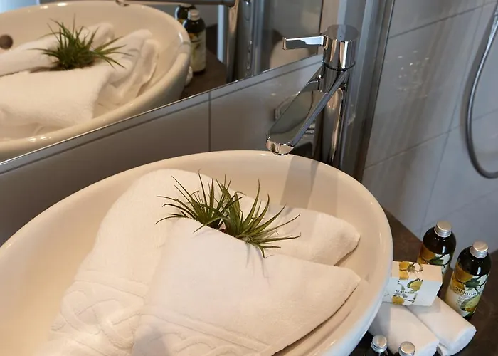 Weisses Lamm 호텔 시